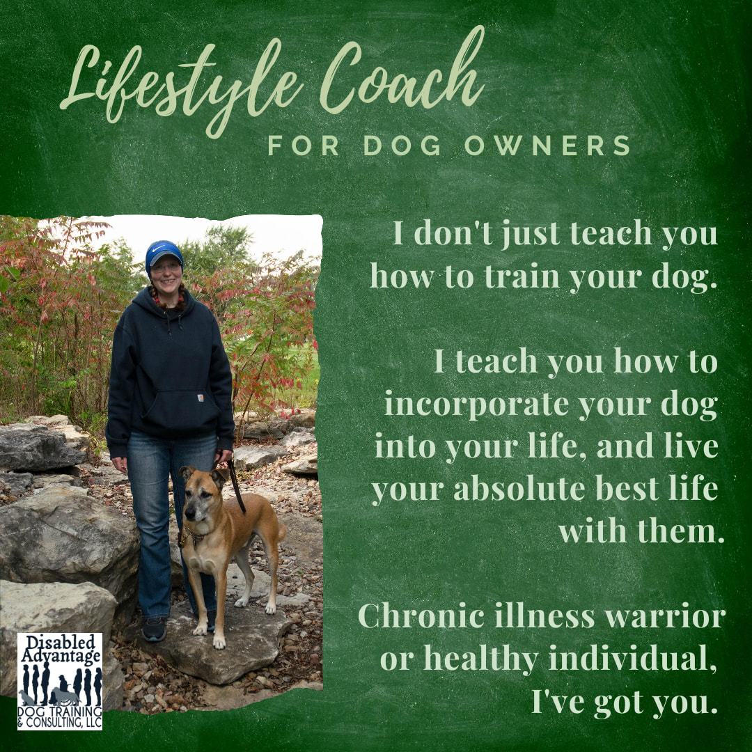 service dog trainer, life coach for dog owners, disability coaching